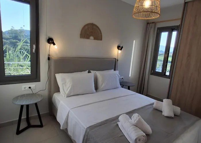 Vallianos D Vila